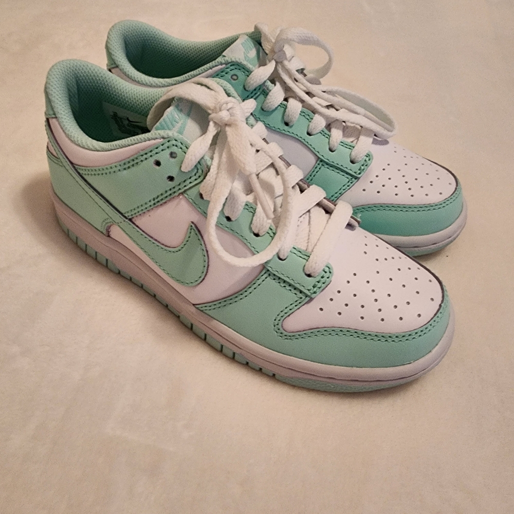 Nike Dunks Seafoam Youth Sneakers